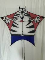 Produktbild von Penta-Cat Kite